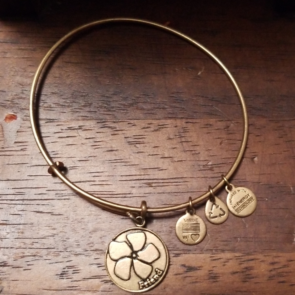 🎄Alex And Ani Bracelet